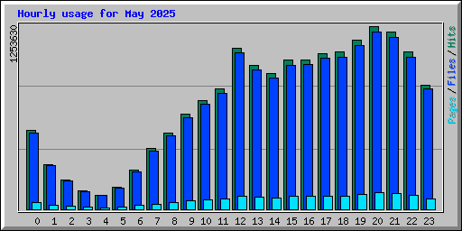Hourly usage for May 2025