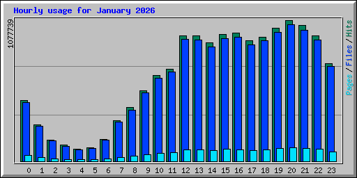 Hourly usage for January 2026