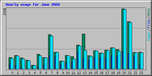 Hourly usage for June 2026