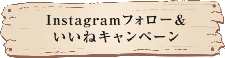 Instagramフォロー& いいねキャンペーン