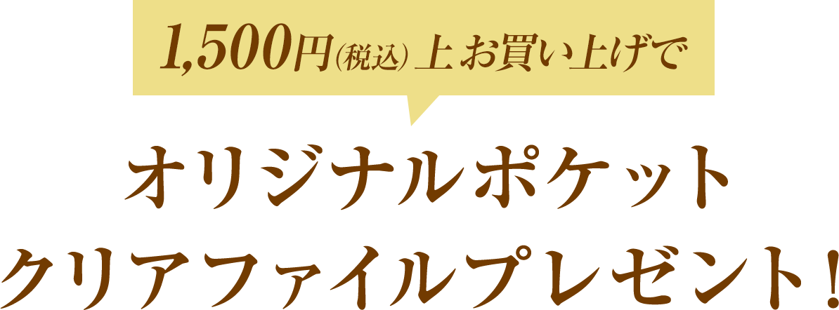 オリジナルポケット クリアファイルプレゼント!